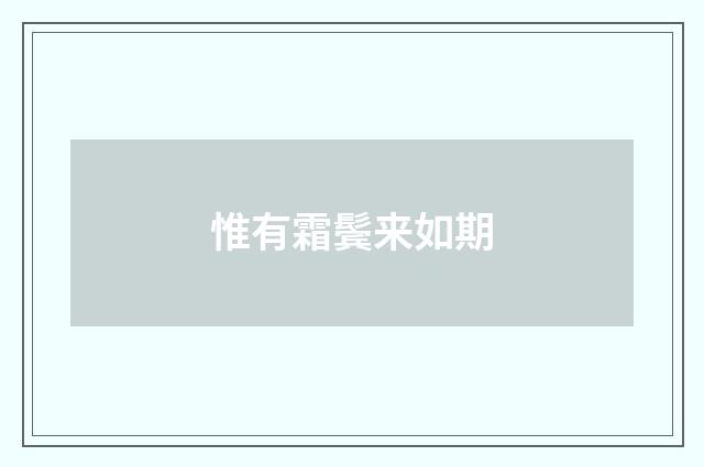 惟有霜鬓来如期