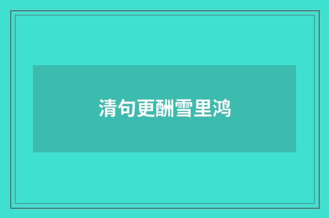 清句更酬雪里鸿