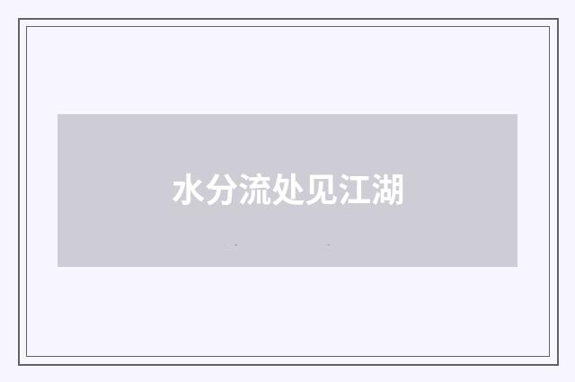 水分流处见江湖