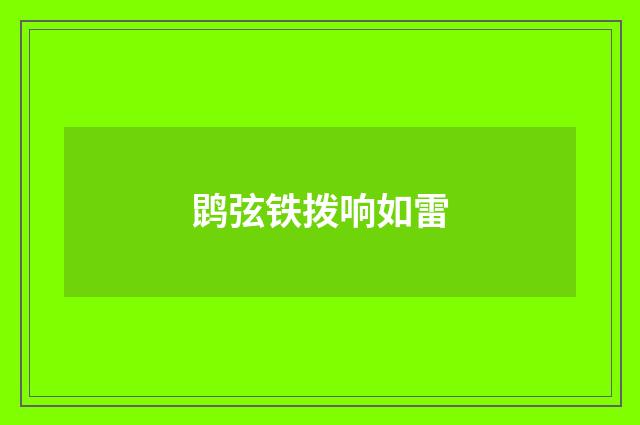鹍弦铁拨响如雷