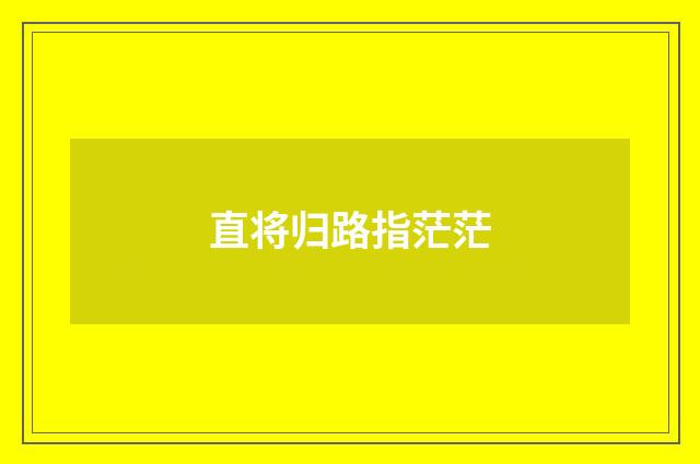直将归路指茫茫