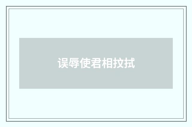 误辱使君相抆拭