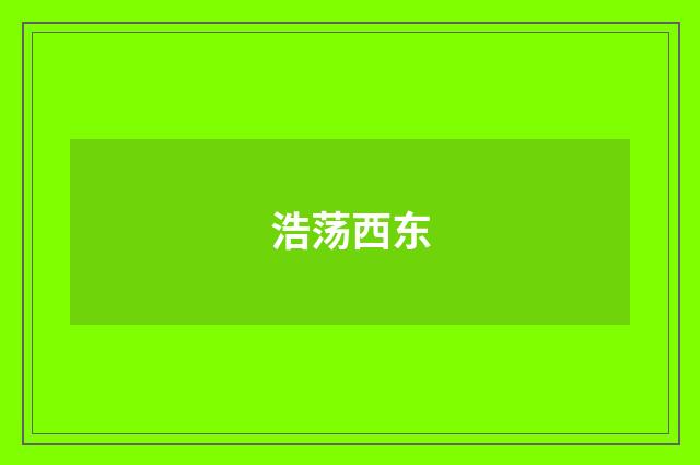 浩荡西东