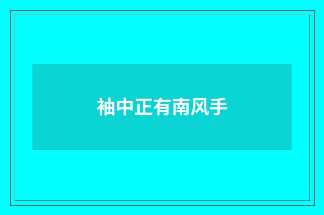 袖中正有南风手
