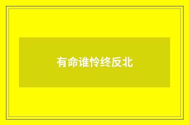 有命谁怜终反北