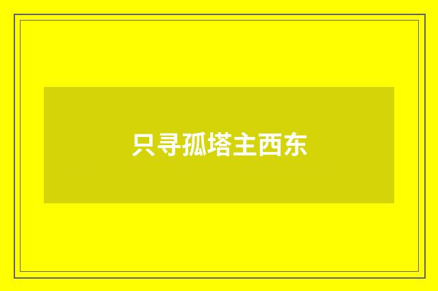 只寻孤塔主西东