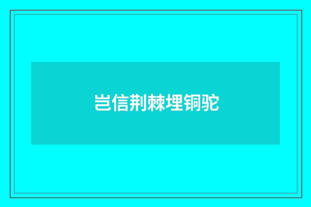 岂信荆棘埋铜驼