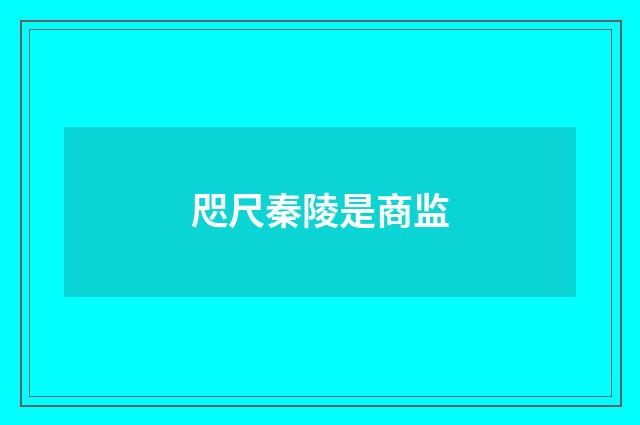 咫尺秦陵是商监