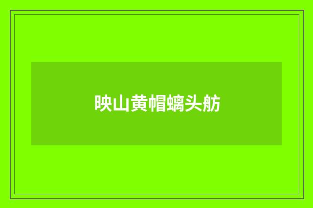 映山黄帽螭头舫