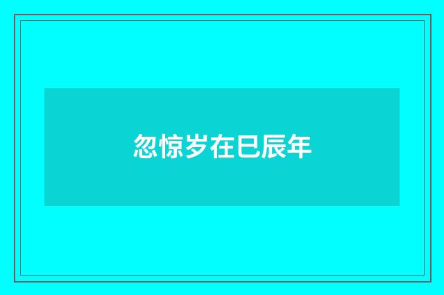 忽惊岁在巳辰年