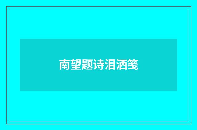 南望题诗泪洒笺