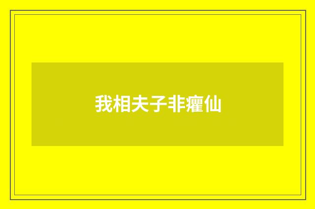 我相夫子非癯仙