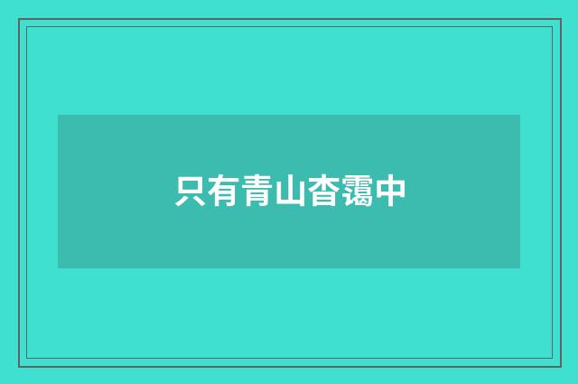 只有青山杳霭中