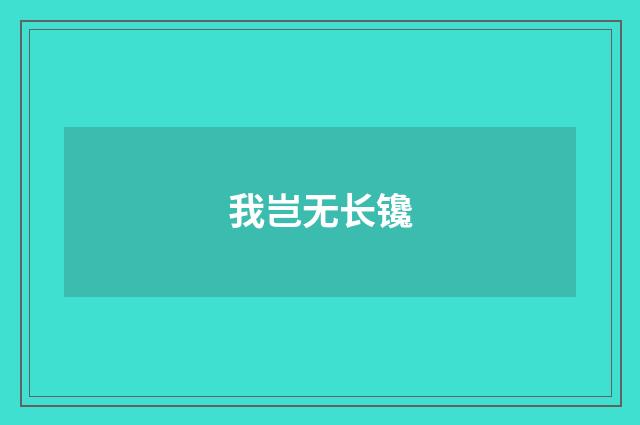 我岂无长镵