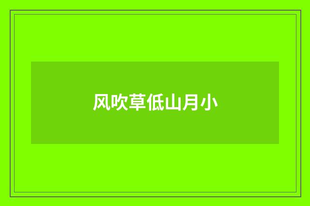 风吹草低山月小