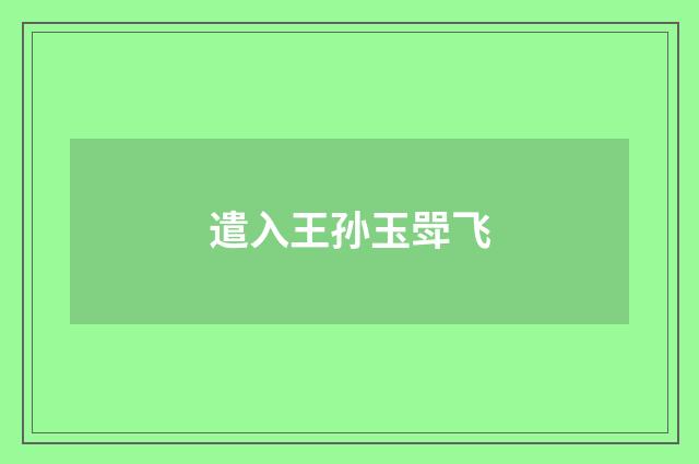 遣入王孙玉斝飞