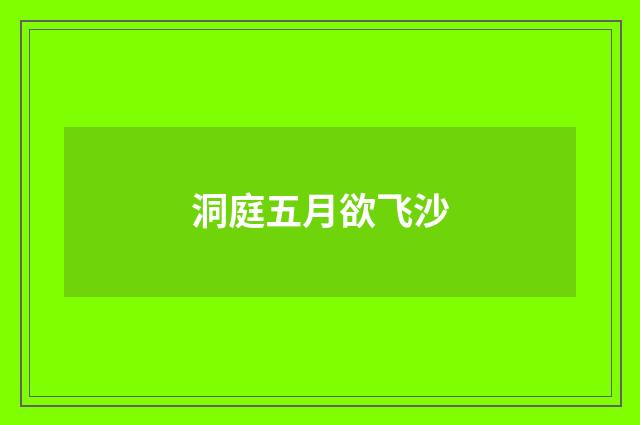 洞庭五月欲飞沙