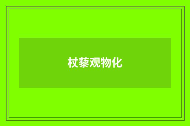 杖藜观物化