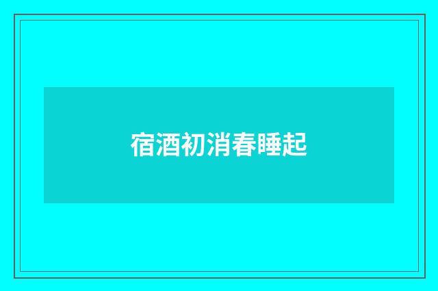 宿酒初消春睡起