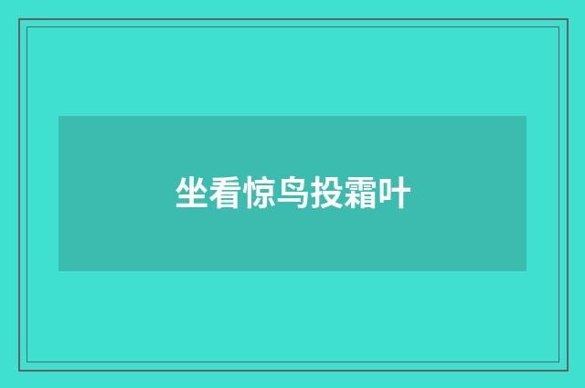 坐看惊鸟投霜叶