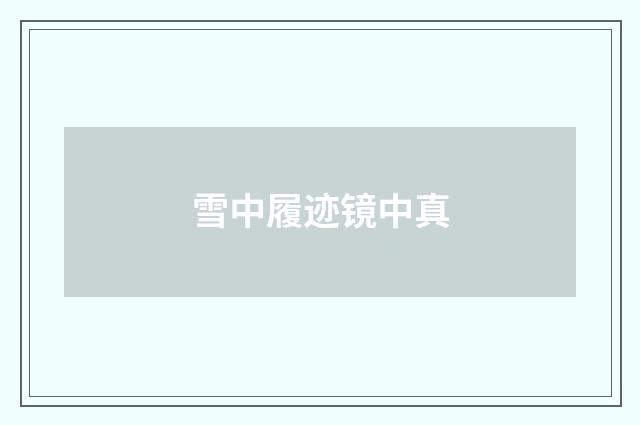 雪中履迹镜中真