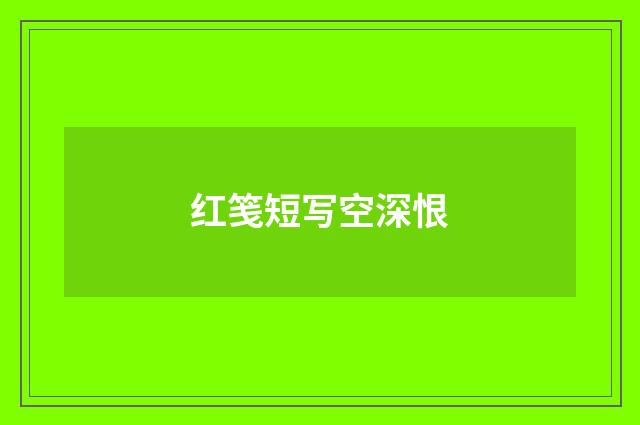 红笺短写空深恨