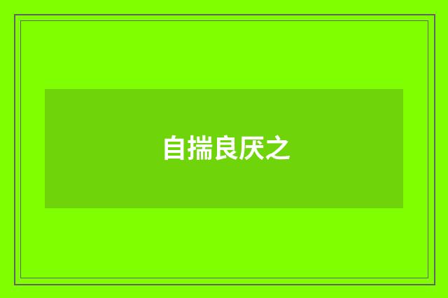 自揣良厌之