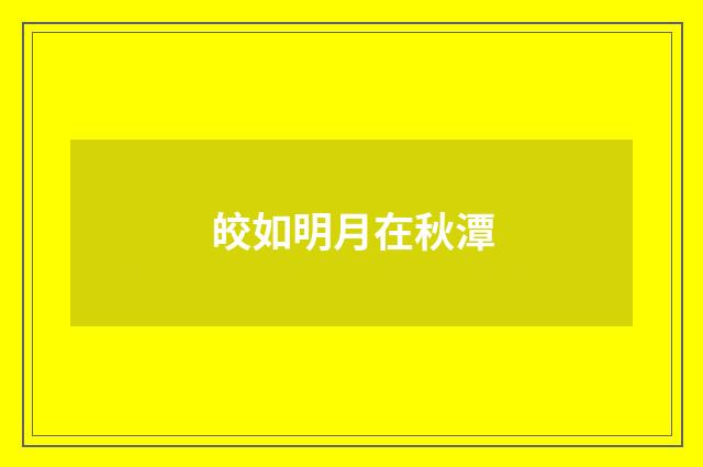 皎如明月在秋潭