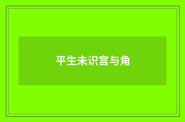 平生未识宫与角