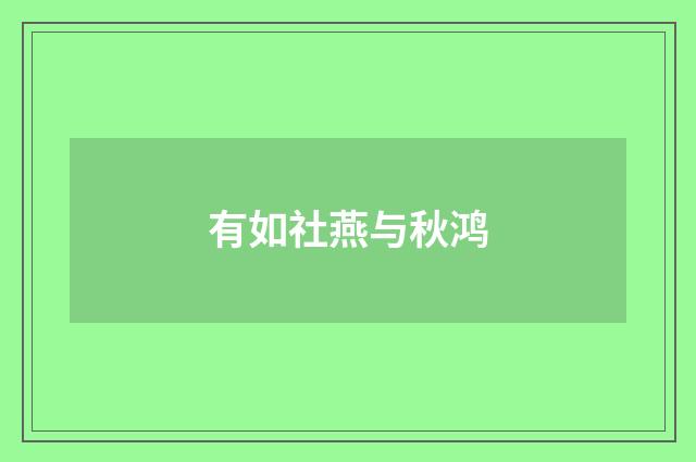 有如社燕与秋鸿
