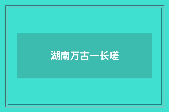 湖南万古一长嗟
