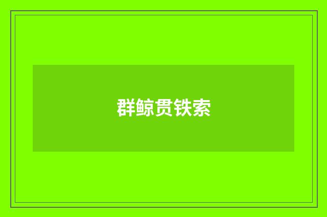 群鲸贯铁索