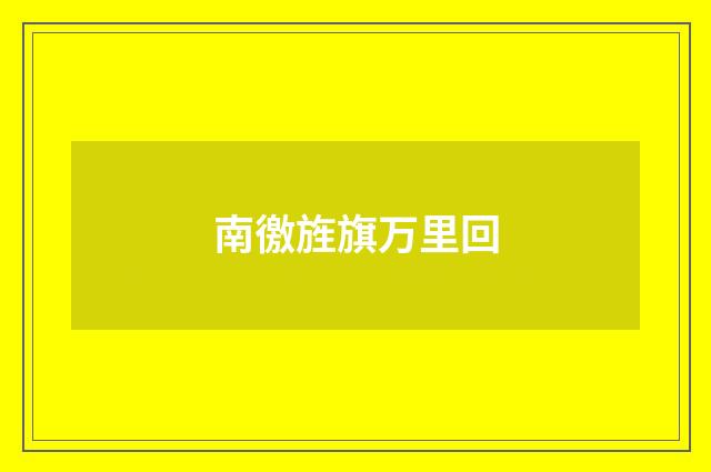 南徼旌旗万里回