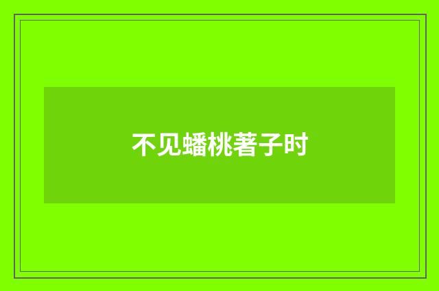 不见蟠桃著子时