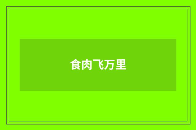 食肉飞万里