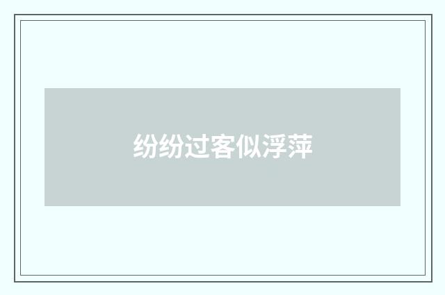 纷纷过客似浮萍