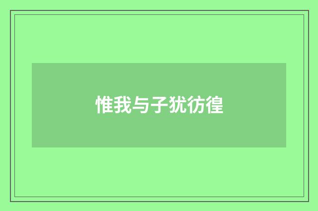 惟我与子犹彷徨