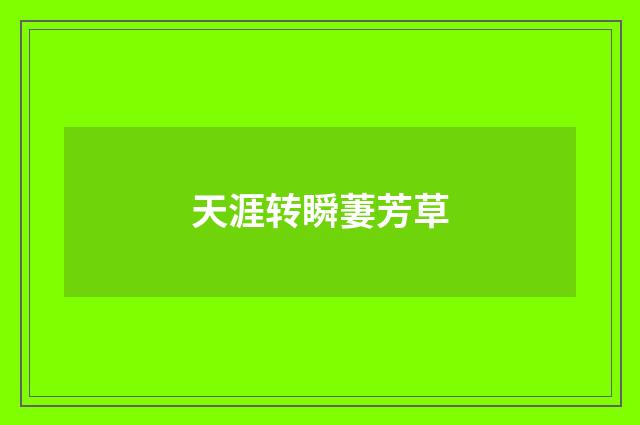 天涯转瞬萋芳草