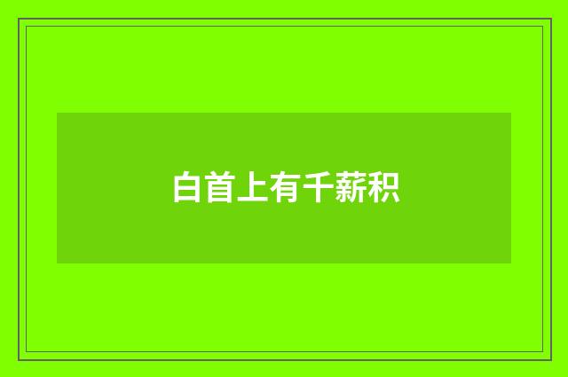 白首上有千薪积