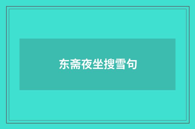 东斋夜坐搜雪句