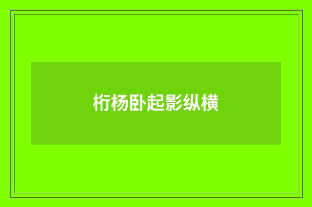 桁杨卧起影纵横