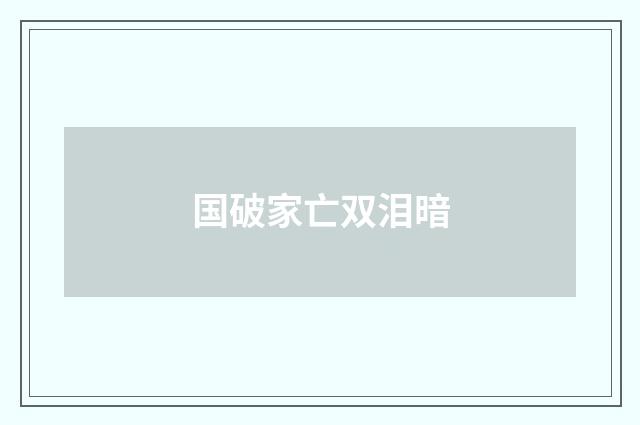 国破家亡双泪暗