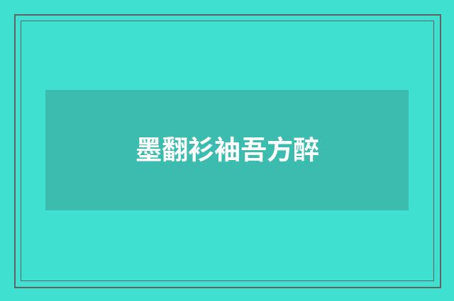 墨翻衫袖吾方醉
