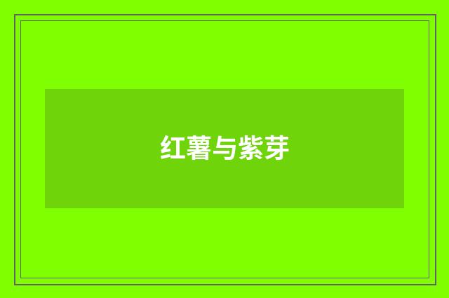 红薯与紫芽
