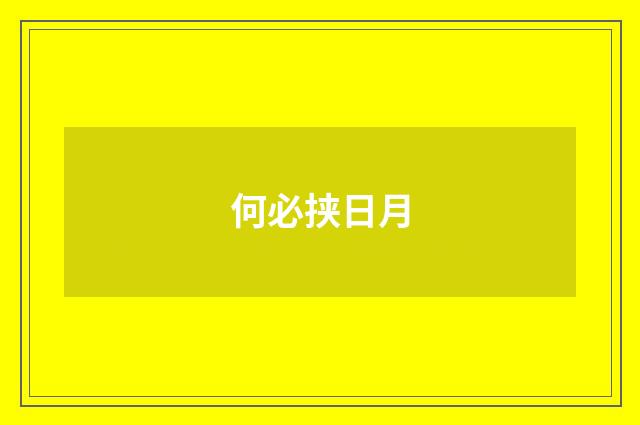 何必挟日月