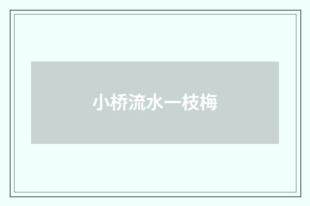 小桥流水一枝梅