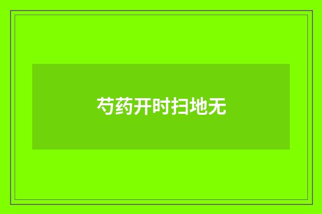 芍药开时扫地无