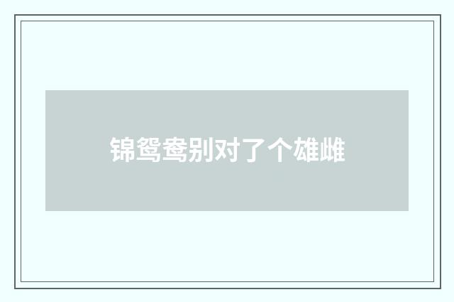 锦鸳鸯别对了个雄雌