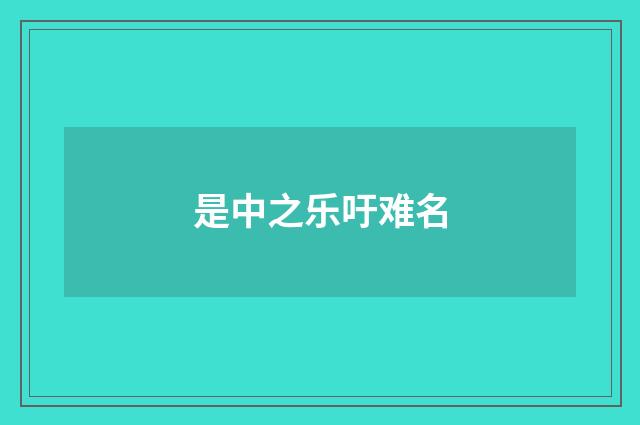 是中之乐吁难名