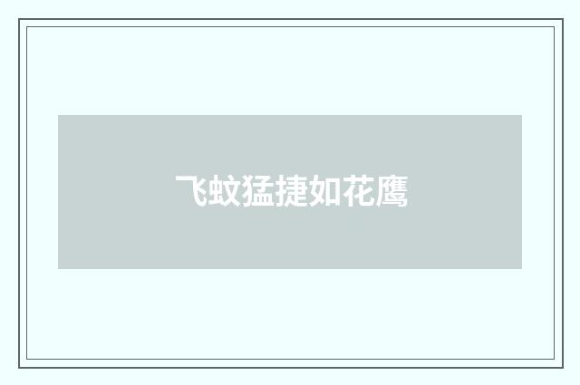 飞蚊猛捷如花鹰